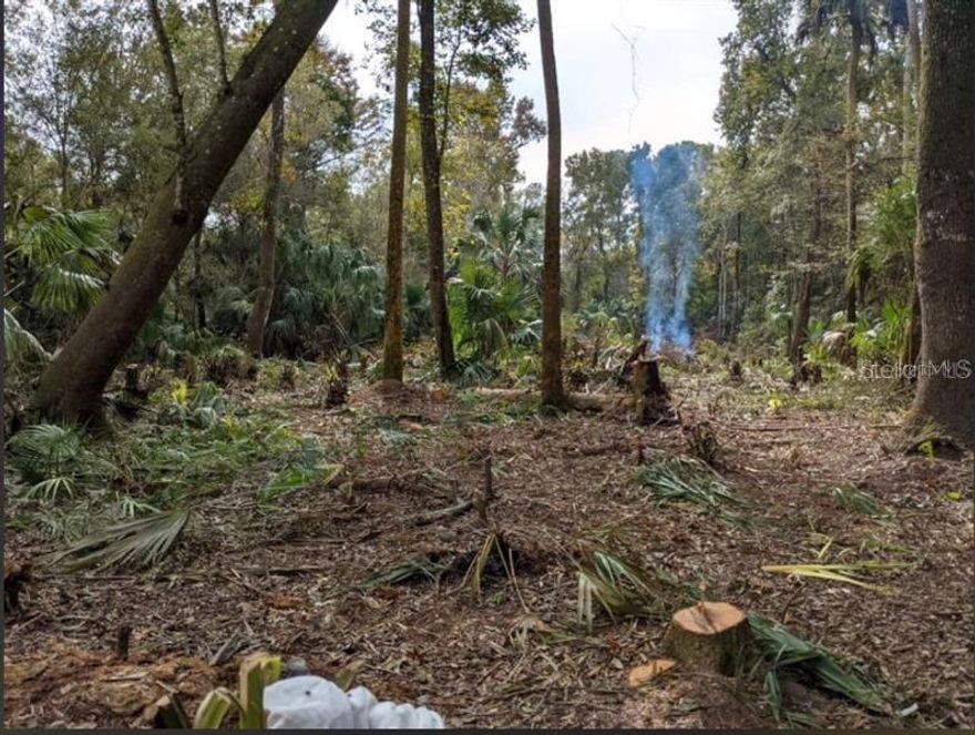 Highly motivated seller! This 1.16-acre parcel sits in the sought-after Crystal Manor community, where many neighboring homes reach into the upper $800Ks. The owner had a change of heart and says SELL, so bring all offers. The property has been partially cleared with some natural re-growth, giving you a head start on shaping your future home site. Just minutes from several of Florida’s iconic natural springs along the Nature Coast, this area is known for its abundant wildlife and endless outdoor recreation—fishing, hunting, biking, tubing, hiking, and more. If you’re looking for space, privacy, and the true Florida lifestyle, this parcel delivers. Buyers are encouraged to work with the Florida Department of Environmental Protection regarding any land-use or development questions. Come explore the Nature Coast and see the potential this beautiful property offers.