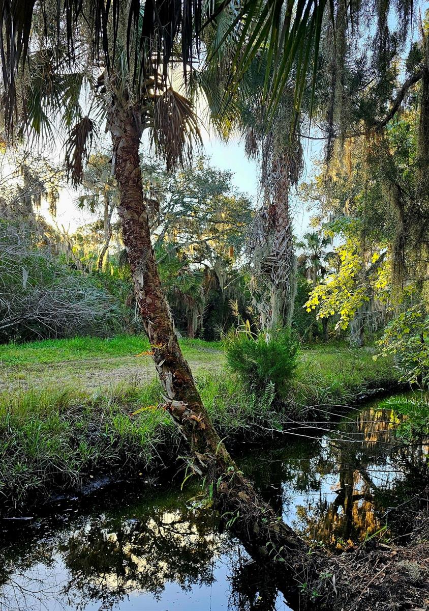 MILL RUN - Residential