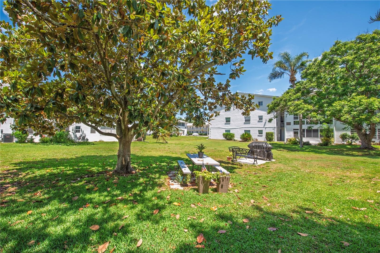DOUGLAS ARMS - Residential