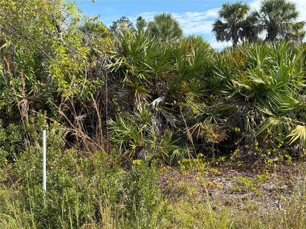 Photo of 7098 Princeton Street, Port Charlotte, FL 33981 (MLS # A4671576)