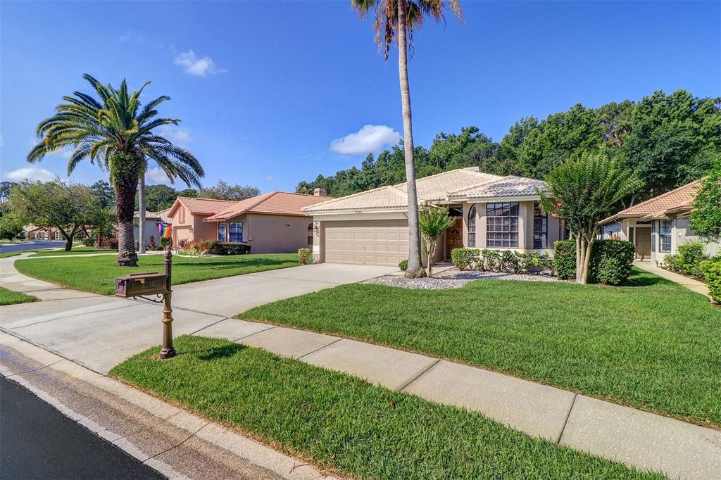Photo of 3704 Darston Street, Palm Harbor, FL 34685 (MLS # TB8399527)