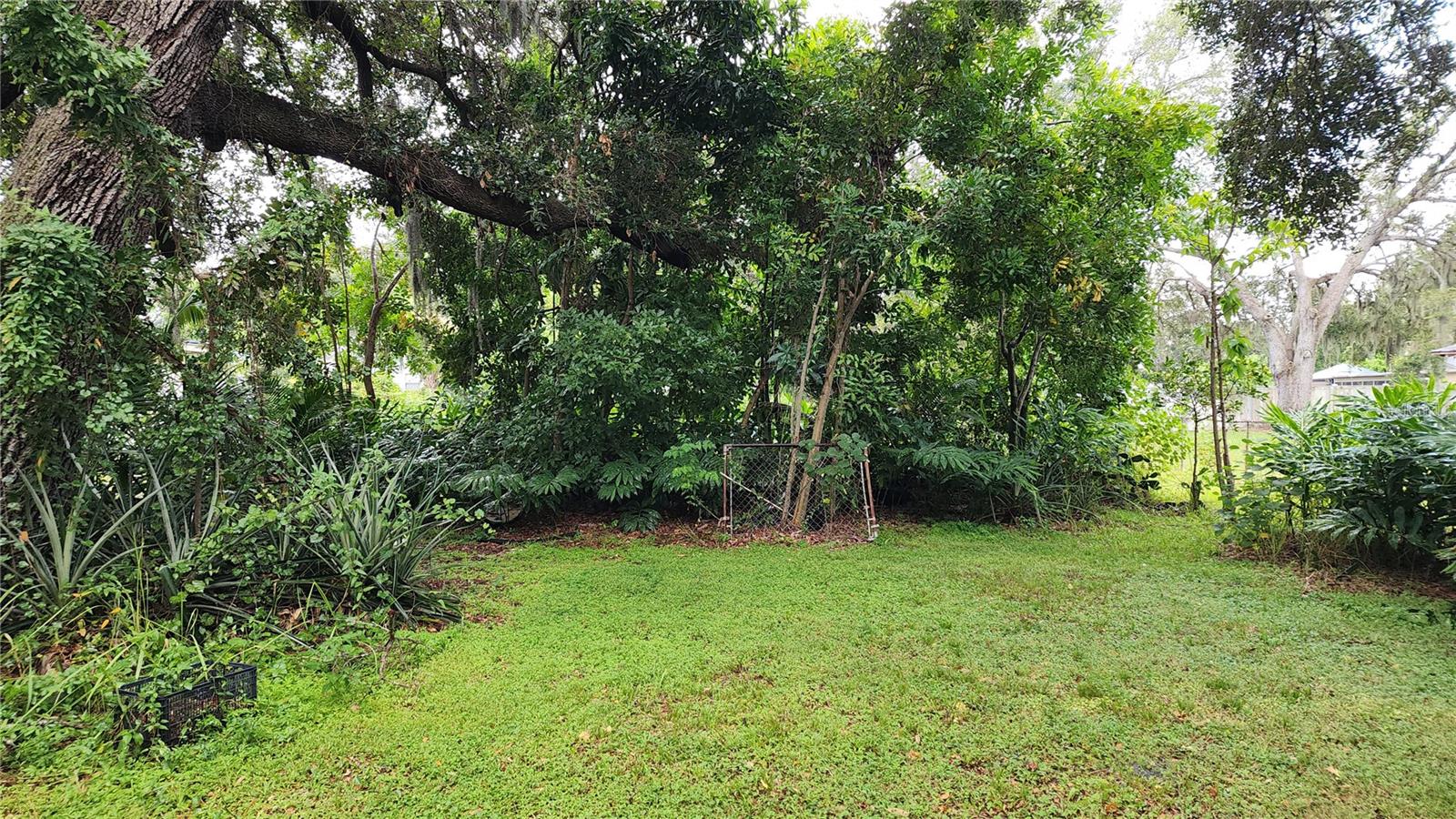 RUSKIN COLONY FARMS - Residential