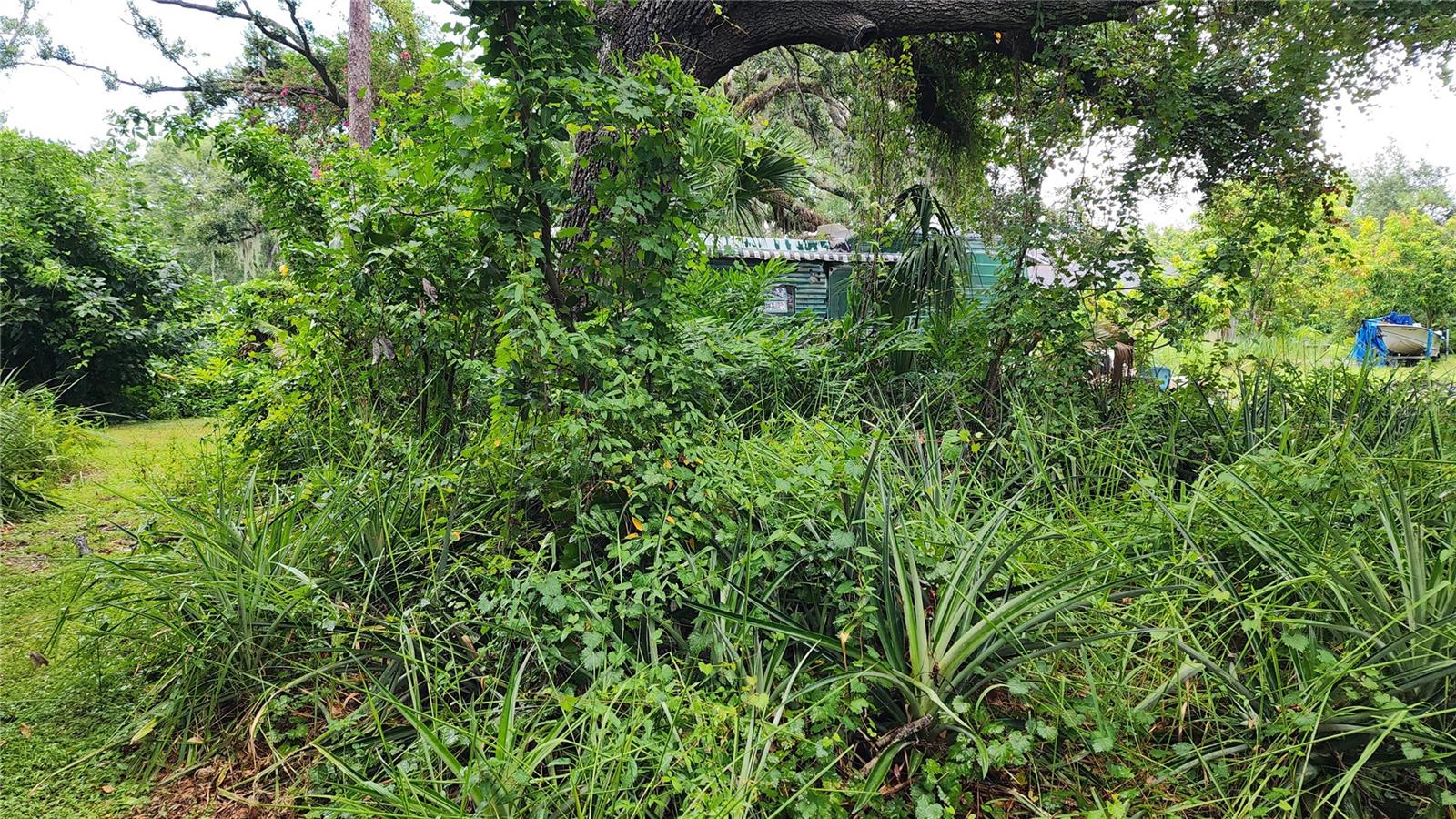 RUSKIN COLONY FARMS - Residential