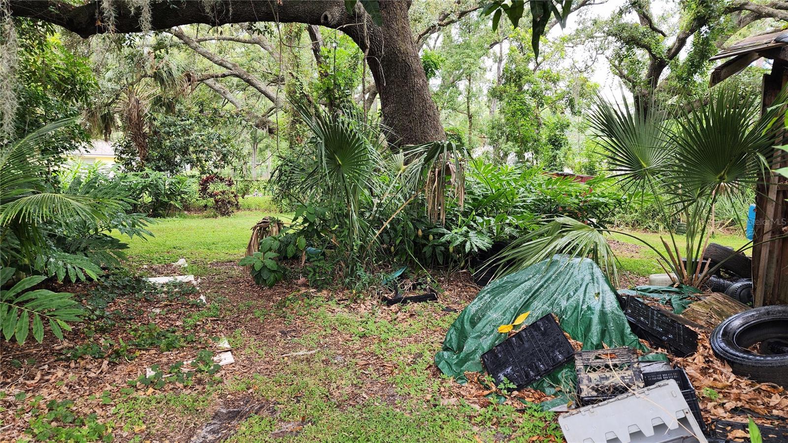 RUSKIN COLONY FARMS - Residential