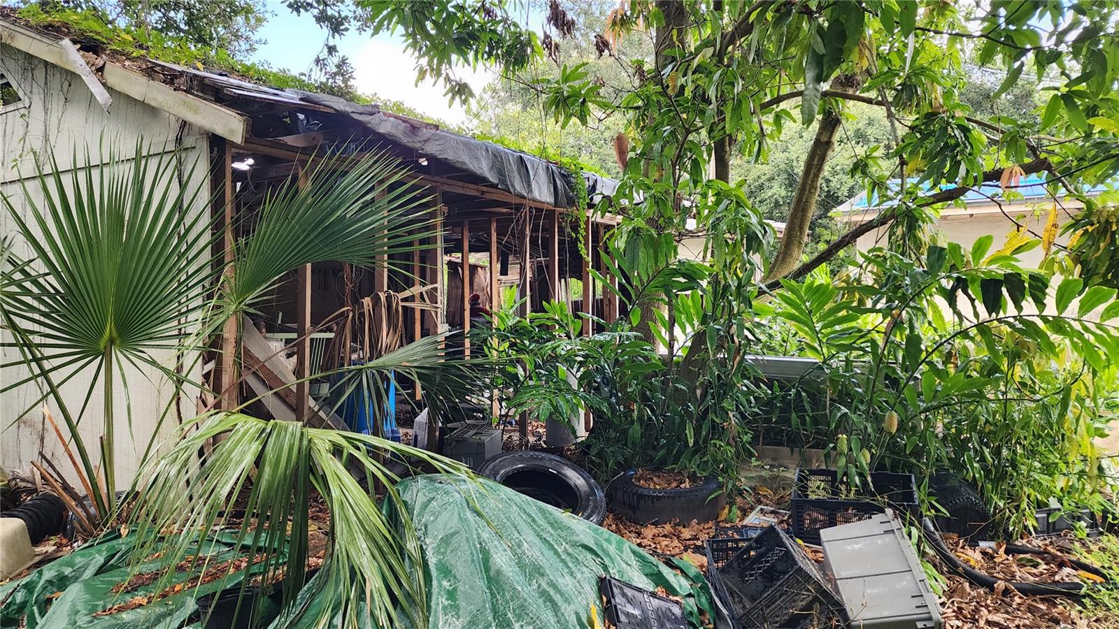 RUSKIN COLONY FARMS - Residential