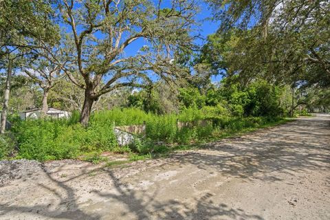 3241 TAFFETA STREET DADE CITY FL 33523