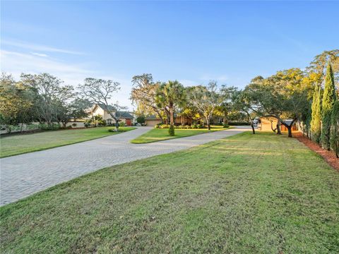 A home in PALM HARBOR