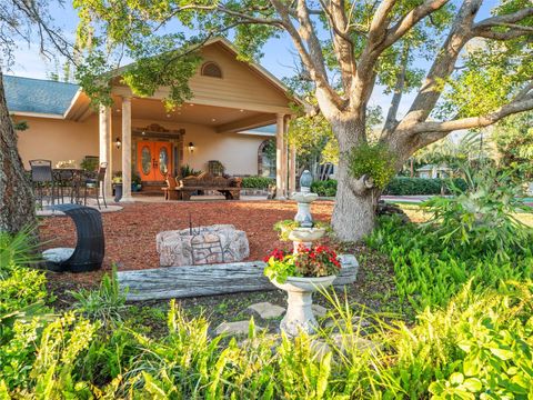 A home in PALM HARBOR