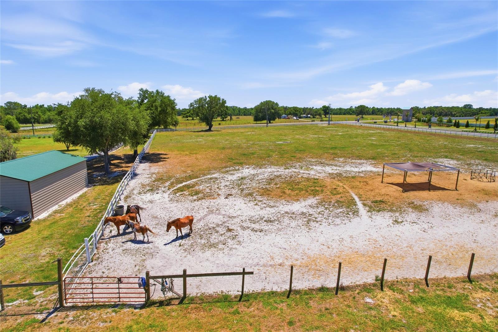 ACREAGE - Residential