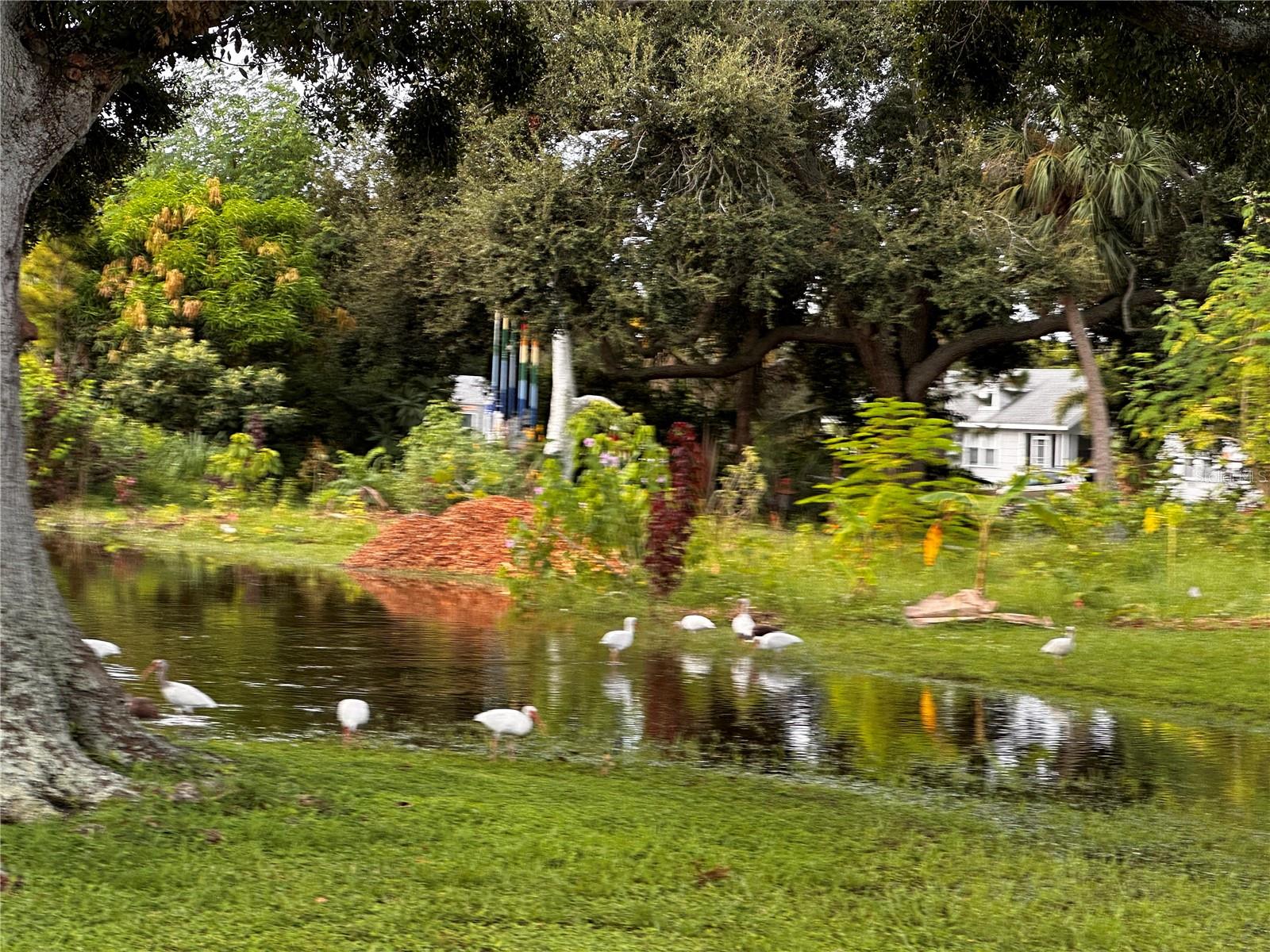 BOCA CEIGA PARK - Land