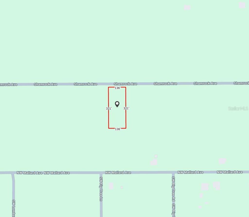 Photo of NW Shamrock Ave, Dunnellon, FL 34431 (MLS # O6383436)