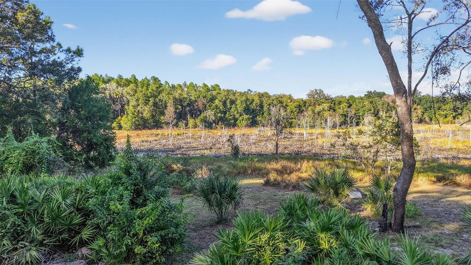 DEEP WOODS - Residential