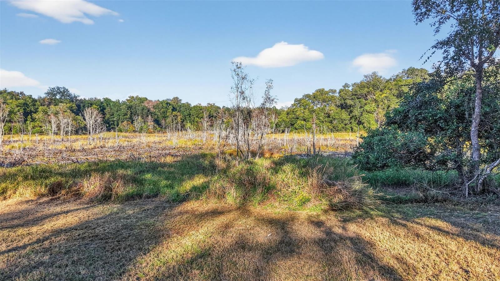 DEEP WOODS - Residential