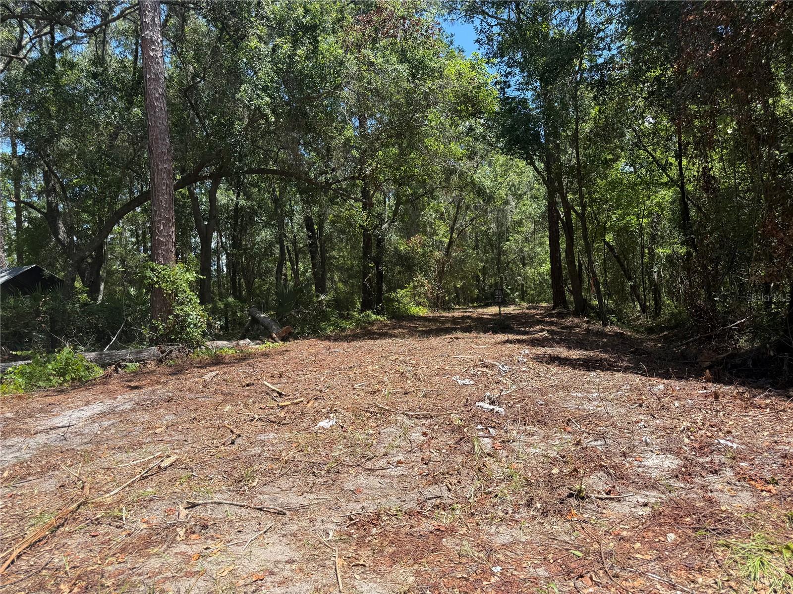 This 5-acre wooded property offers the perfect blend of privacy and natural beauty, making it an ideal retreat for outdoor enthusiasts. Located just moments from Hwy 315, access is easy while maintaining a secluded feel. The land is a haven for hunting, fishing, and exploring the wilderness, with dense woods offering plenty of space to roam. Whether you’re looking for a peaceful getaway, a place to enjoy wildlife, or a spot for outdoor adventures, this property provides all the tranquility and natural charm you could ask for.