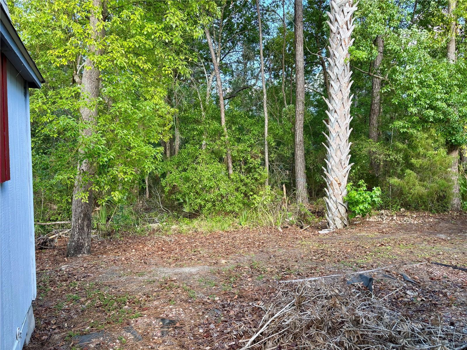 TOWN PARK AT THE WILDERNESS RV PARK ESTATES - Land