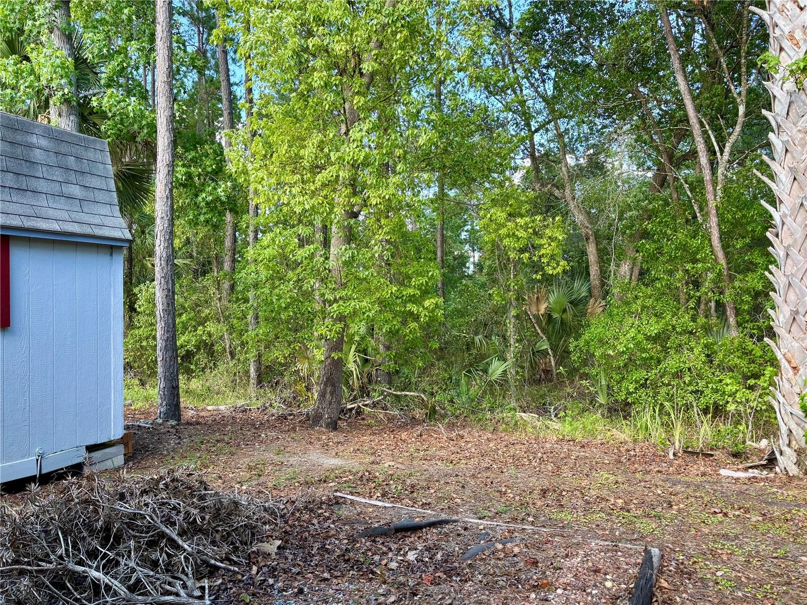 TOWN PARK AT THE WILDERNESS RV PARK ESTATES - Land