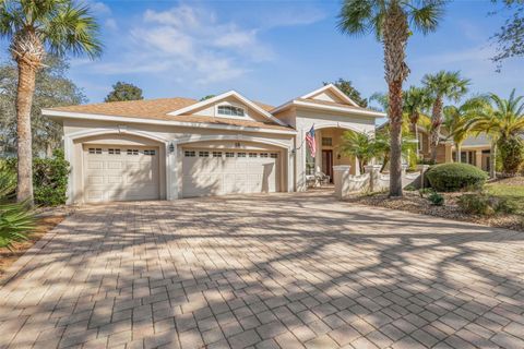 A home in PALM COAST