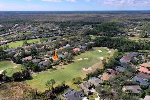 A home in PALM COAST