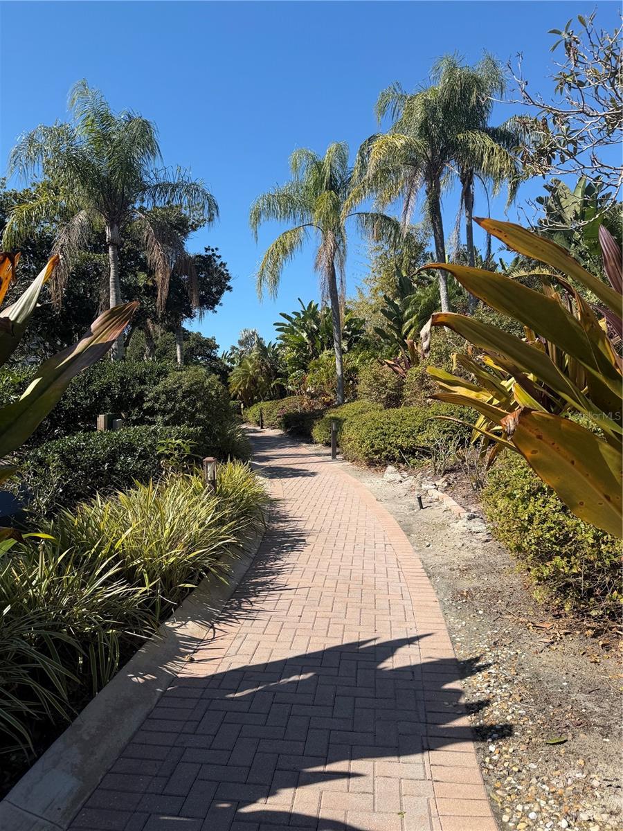 TRIANO - Residential