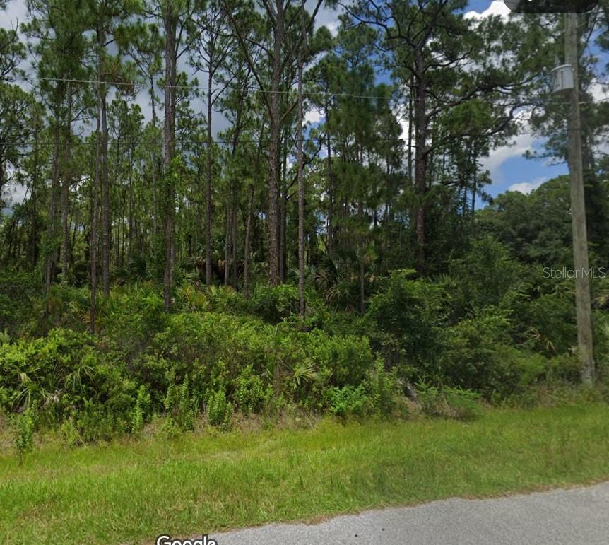 An exciting opportunity to own a piece of paradise in one of Florida’s fastest-growing communities. This beautiful vacant lot offers the perfect canvas to create your custom home, nestled in a peaceful neighborhood with no HOA or deed restrictions. Enjoy the best of both worlds: a tranquil residential setting with convenient access to I-75, shopping, dining, top-rated schools, and medical facilities. Just a short drive from world-renowned Gulf Coast beaches, golf courses, and nature preserves. Whether you're planning to build now or invest for the future, this prime location offers unbeatable value and potential. Come build your dream home today!