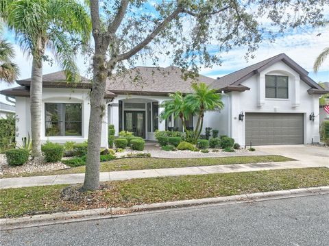 A home in PALM COAST