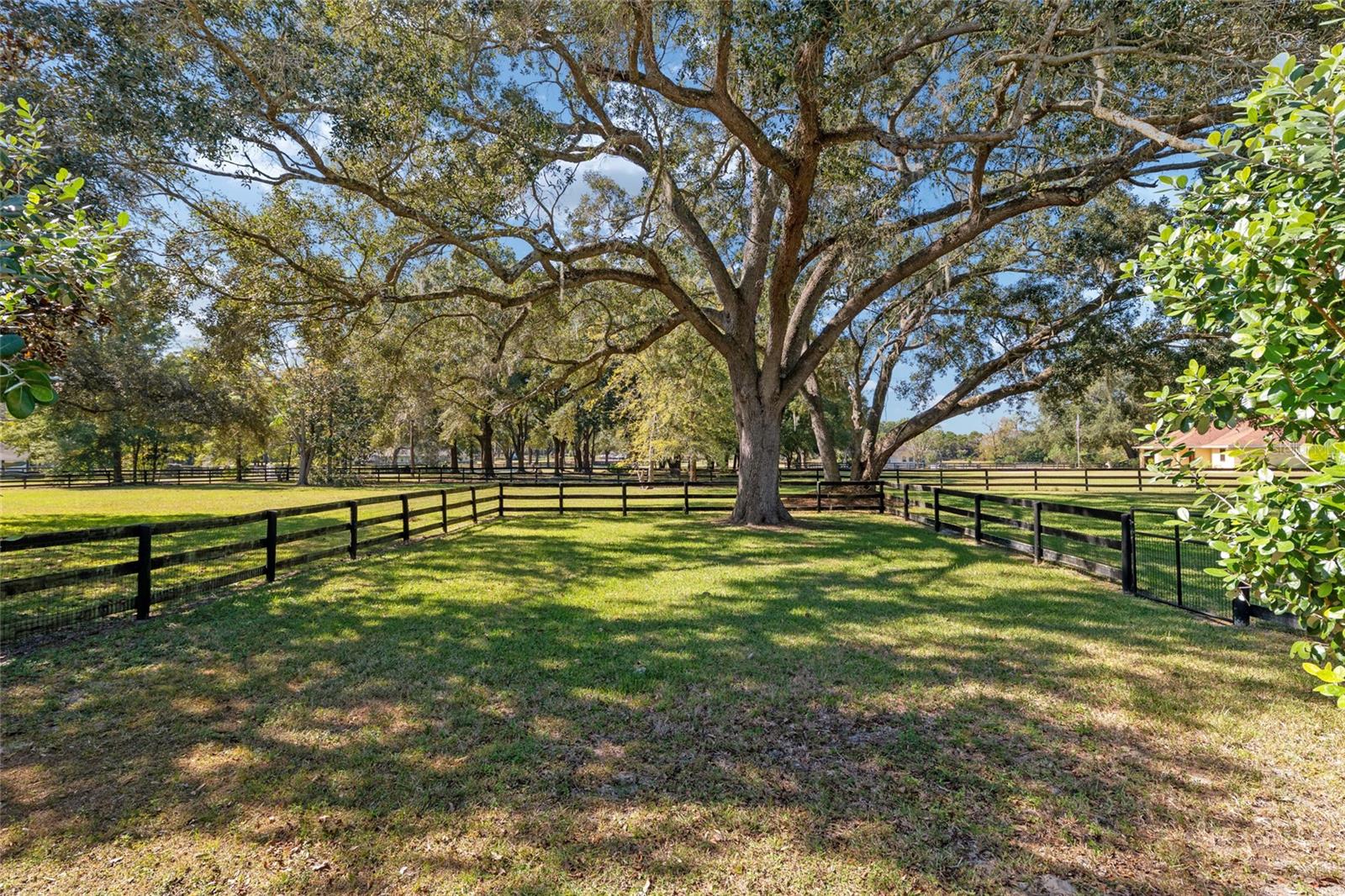 COUNTRYSIDE FARMS - Residential