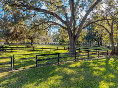 Tiny photo for 7509 SW 93rd Street Road, Ocala, FL 34476 (MLS # OM713127)