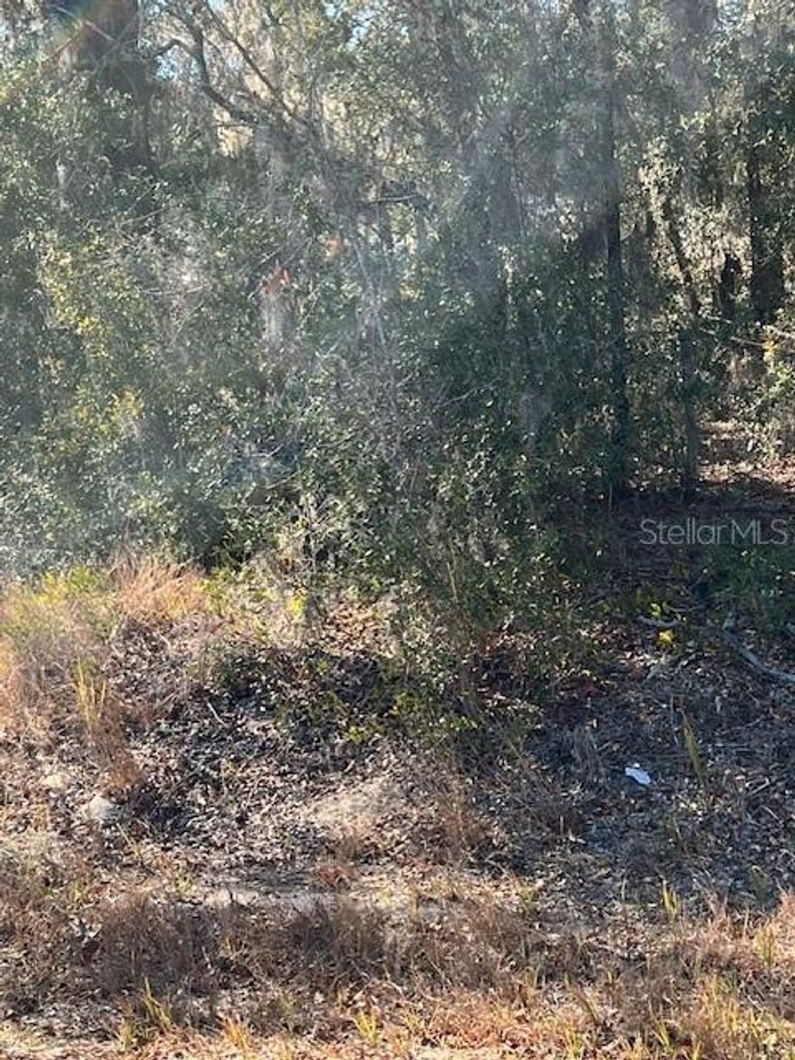 Opportunity to own a residential lot in one of Marion County’s expanding areas. Located just minutes from Lake Weir and The Villages, and only a short 20-minute drive to Downtown Ocala, this property offers both convenience and natural Florida beauty. Enjoy nearby boating, fishing, dining, and entertainment while still having the space and privacy of a residential setting. Perfect for building your future home or holding as an investment as the area continues to grow. lot next to this one also available 9032-0898-09 also listed.