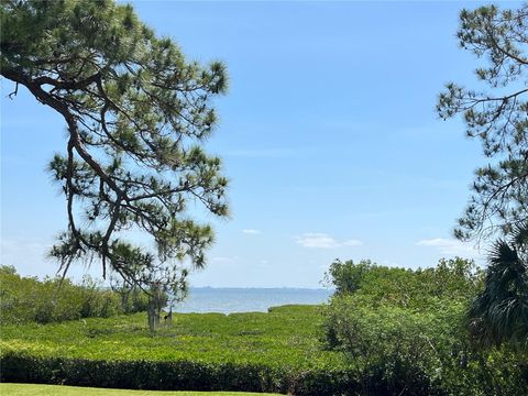 N BAYSHORE DRIVE SAFETY HARBOR FL 34695