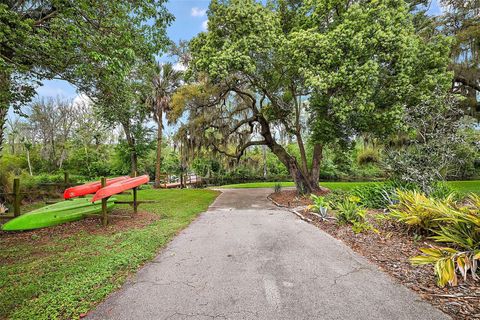 A home in MOUNT DORA