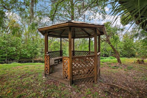 A home in MOUNT DORA