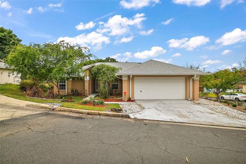 A home in MOUNT DORA