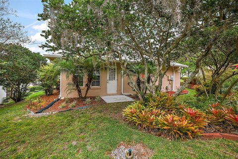 A home in MOUNT DORA