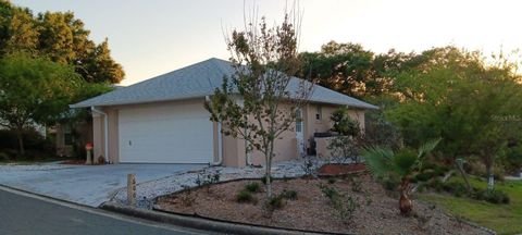 A home in MOUNT DORA