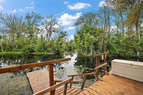 A home in MOUNT DORA