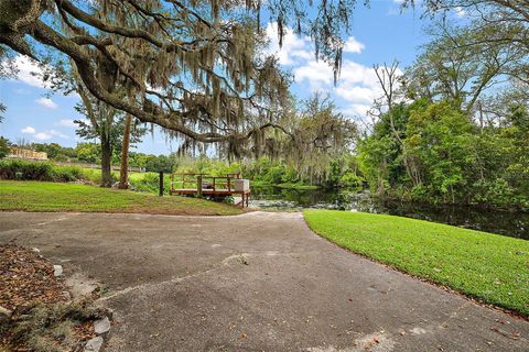 A home in MOUNT DORA