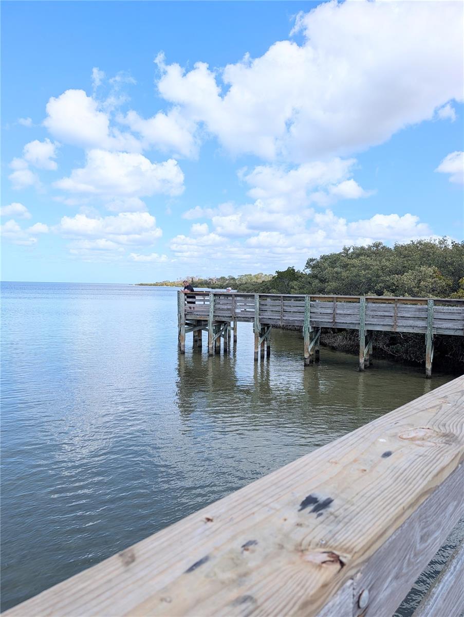 VISTA LKS/BAILEYS BLUFF - Residential