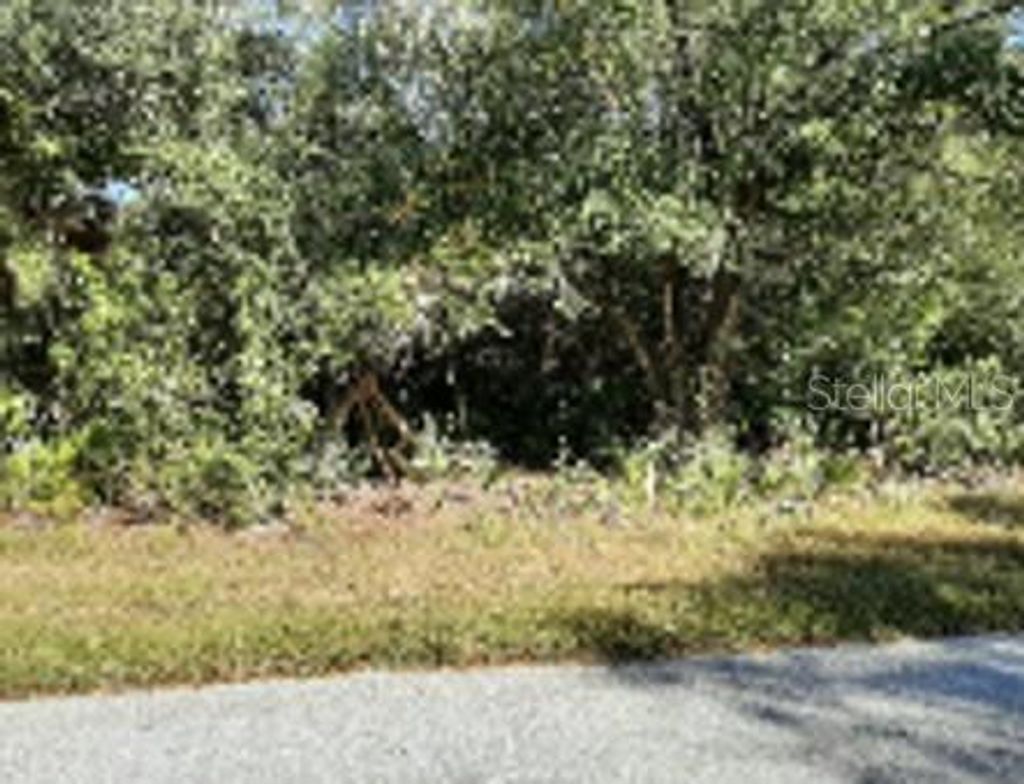Photo of 23492 Cedarton Avenue, Punta Gorda, FL 33980 (MLS # O6190174)