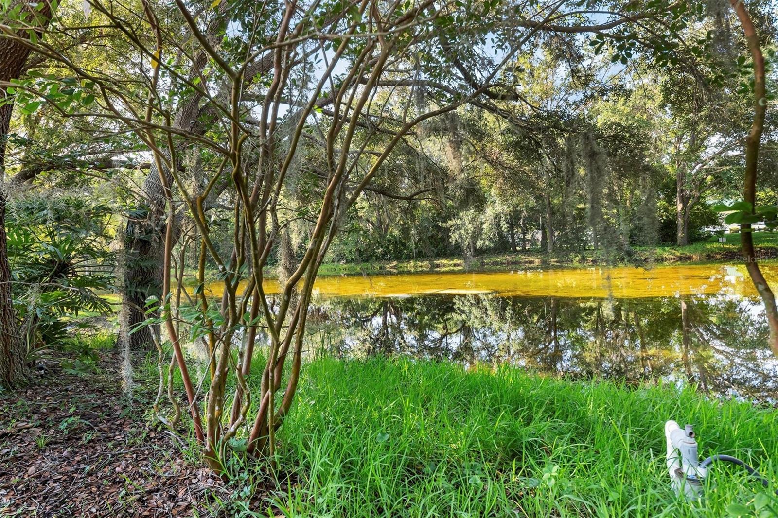 OAKLEAF - Residential Lease