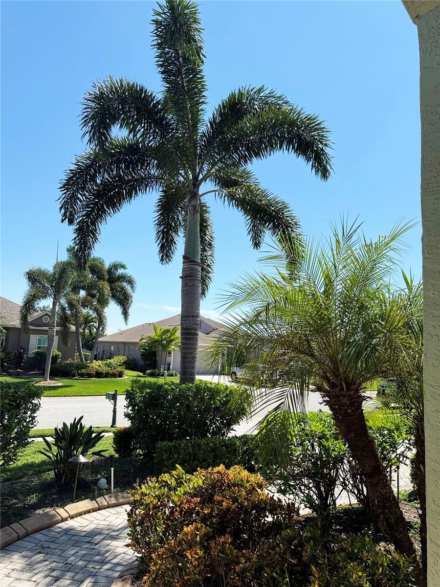 PARKWOOD LAKES PH V-VII - Residential Lease
