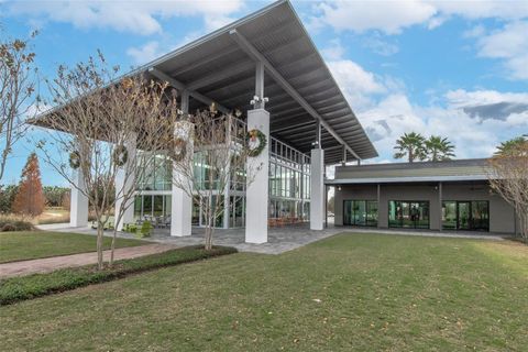 A home in APOLLO BEACH