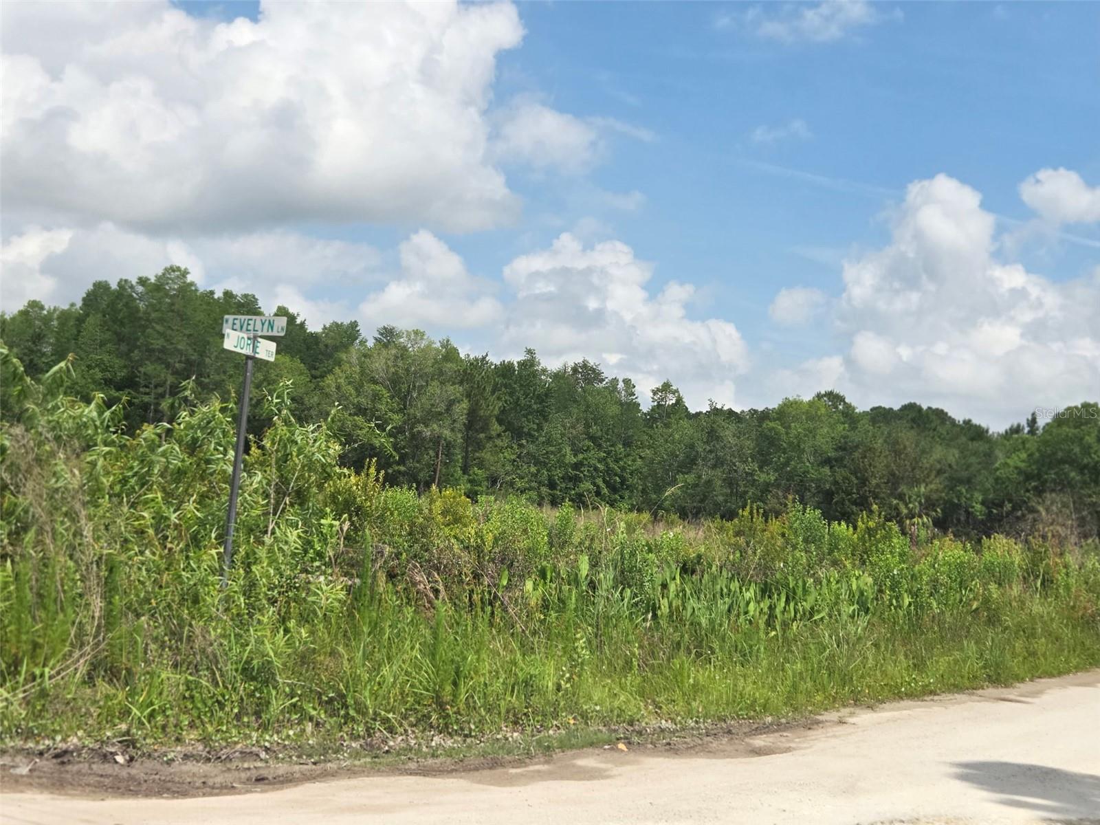 CRYSTAL RIVER VILLAGE UNREC SUB - Land