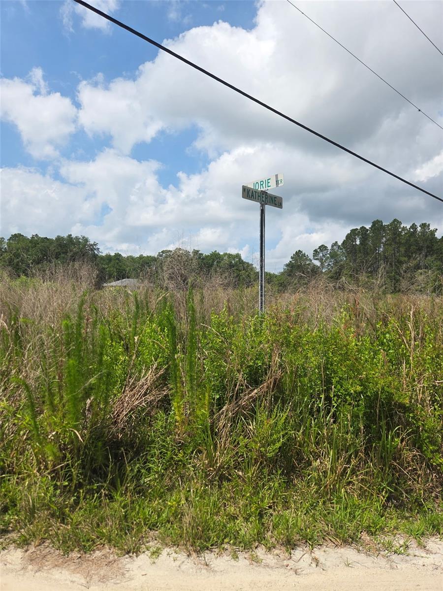 CRYSTAL RIVER VILLAGE UNREC SUB - Land