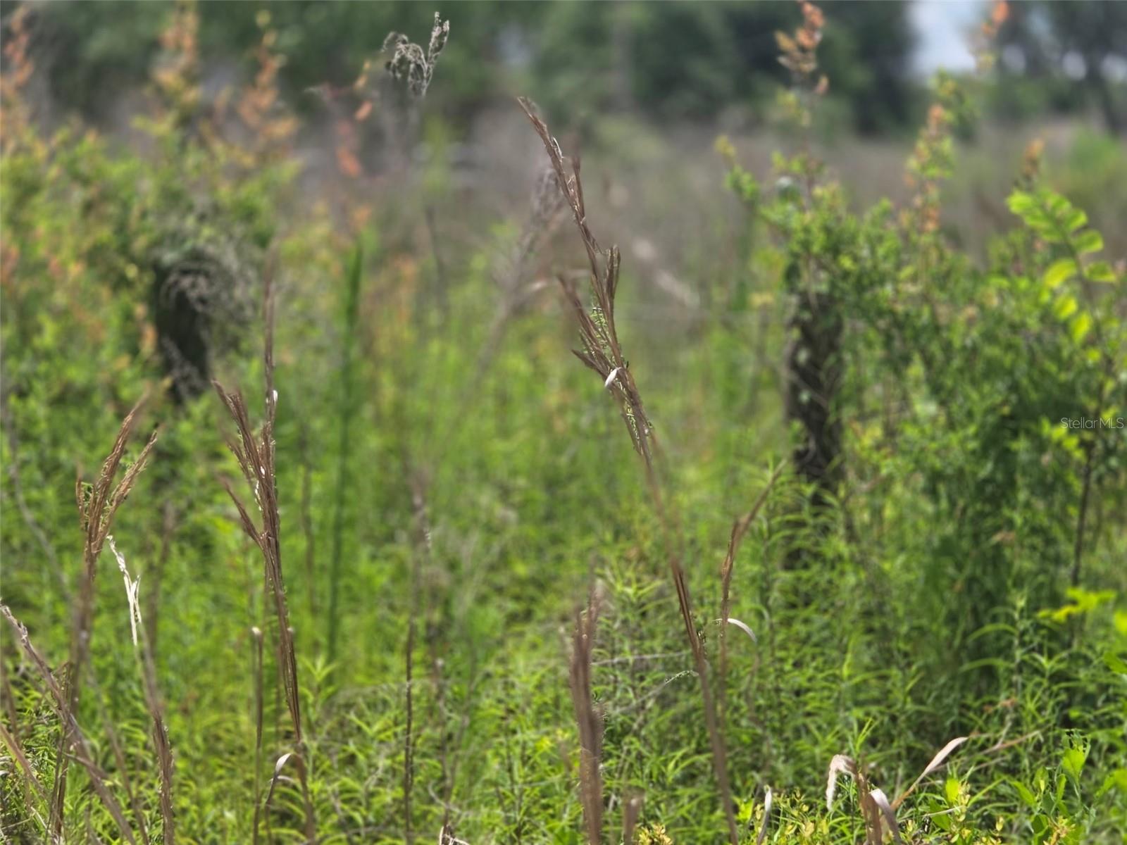 CRYSTAL RIVER VILLAGE UNREC SUB - Land