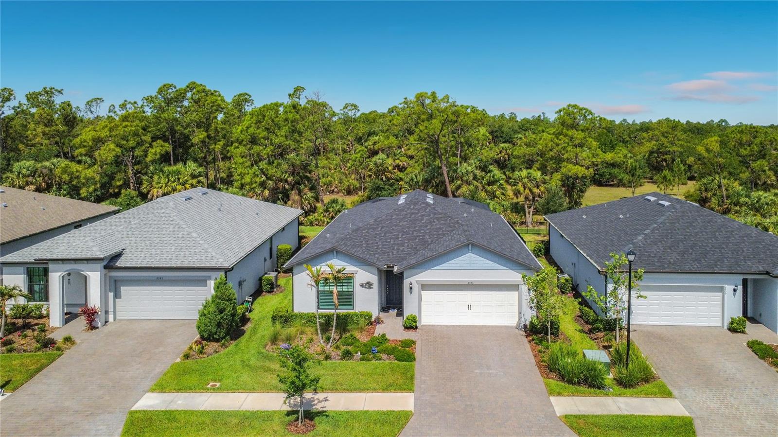 2393 GABEL OAK DRIVE DRIVE