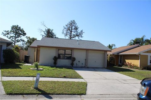 A home in TAMPA