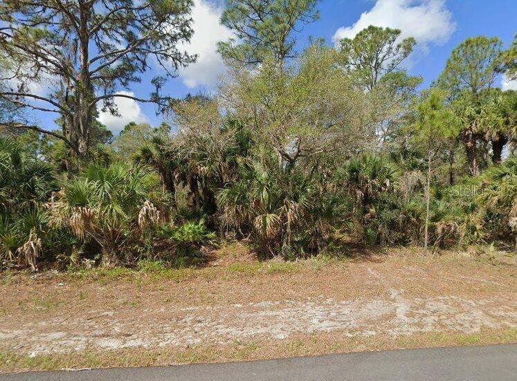 PORT CHARLOTTE SEC 029 - Land