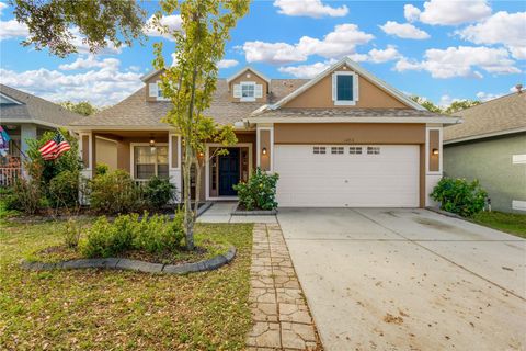 A home in RIVERVIEW