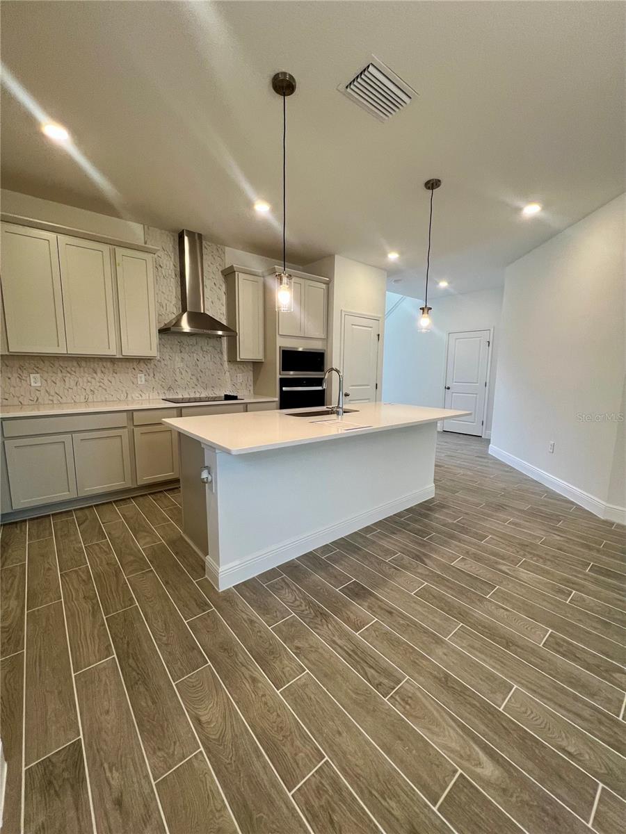 HILLS OF MINNEOLA - Residential