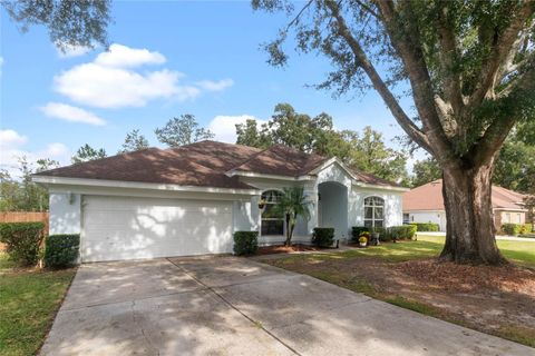 A home in APOPKA